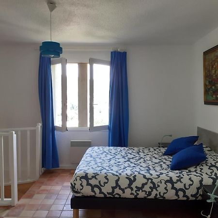 טורנון-סור-רון Gite Du Vigneron A La Terrasse Piscine Local Velos מראה חיצוני תמונה